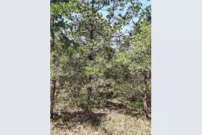 142 Meduna Road, Smithville, TX 78957 - Photo 13