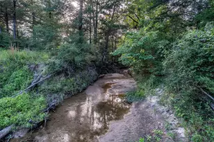 2033 Lcr 704 Rd, Groesbeck, TX 76653 - Photo 13