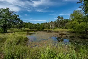 2033 Lcr 704 Rd, Groesbeck, TX 76653 - Photo 15