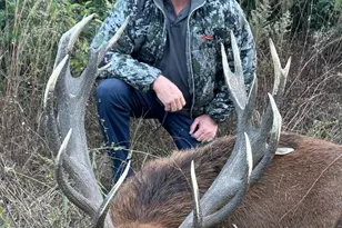 2033 Lcr 704 Rd, Groesbeck, TX 76653 - Photo 33