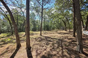 319 Green Oaks Dr, Bastrop, TX 78602 - Photo 7