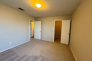 119 Peppergrass Cove, Kyle, TX 78640 - Photo 25