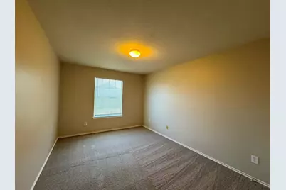 119 Peppergrass Cove, Kyle, TX 78640 - Photo 21