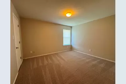 119 Peppergrass Cove, Kyle, TX 78640 - Photo 19