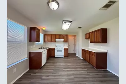 119 Peppergrass Cove, Kyle, TX 78640 - Photo 13