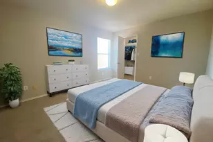 119 Peppergrass Cove, Kyle, TX 78640 - Photo 17