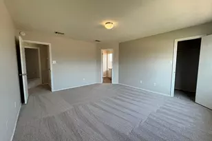 119 Peppergrass Cove, Kyle, TX 78640 - Photo 29
