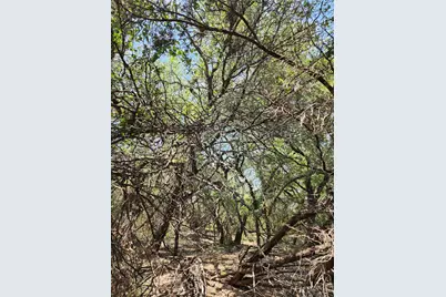 21304 Highland Lake Drive, Lago Vista, TX 78645 - Photo 3