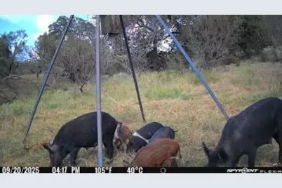 0 County Road 110, Burnet, TX 78611 - Photo 13