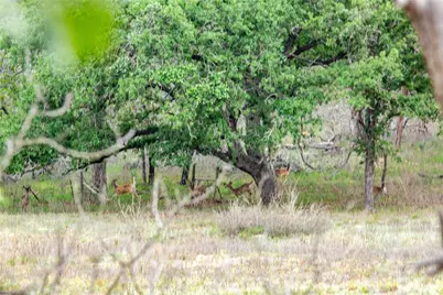 132 Roemer Lane W, Floresville, TX 78114 - Photo 39