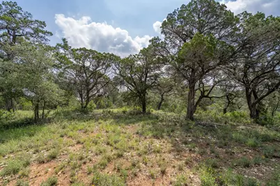 19705 Tyler Trail, Jonestown, TX 78645 - Photo 15
