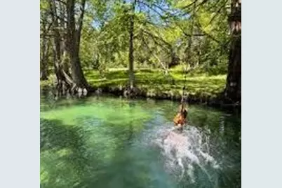221 Ranch House Road, Wimberley, TX 78676 - Photo 11