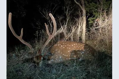 Tbd County Road 450, Rocksprings, TX 78880 - Photo 17