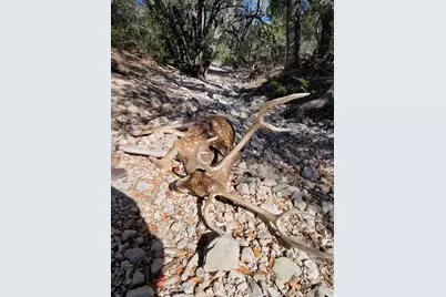 Tbd County Road 450, Rocksprings, TX 78880 - Photo 13