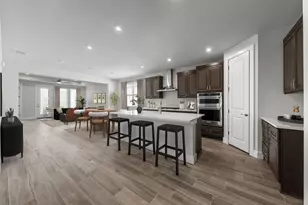 674 Iron Willow Loop, Dripping Springs, TX 78620 - Photo 9