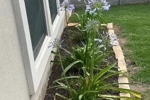 4229 Mercer Rd, Georgetown, TX 78628 - Photo 33