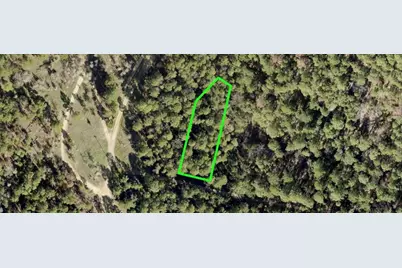 Lot 43 Pine Lodge Drive, Bastrop, TX 78602 - Photo 5