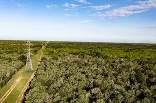 Tbd Anchor Ranch Lp Loop, Cistern, TX 78941 - Photo 1