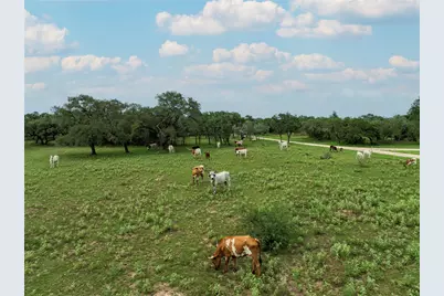 15545 Tx-111 E, Yoakum, TX 77995 - Photo 11
