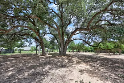 1837 Halflinger Lane, Leander, TX 78628 - Photo 27