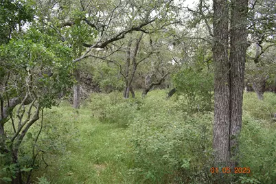 2315 Haven Bluff Court, New Braunfels, TX 78132 - Photo 9