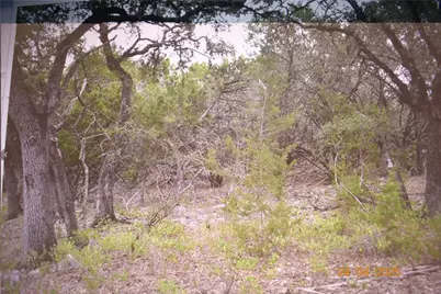 2315 Haven Bluff Court, New Braunfels, TX 78132 - Photo 19