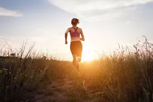 309 Foxfire Cove, Lockhart, TX 78644 - Photo 19