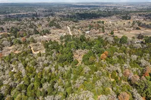 105 S Austin Dr, Paige, TX 78659 - Photo 17