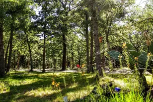 390 Christensen Rd, Elgin, TX 78621 - Photo 19