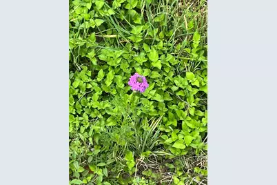 309 Remuda, Liberty Hill, TX 78642 - Photo 15