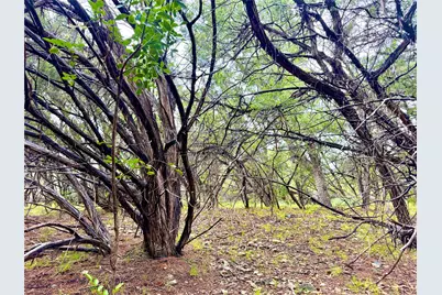 Tbd Tracts 10 & 22 Goat Hill Road, Lakehills, TX 78063 - Photo 5