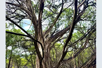 Tbd Tracts 10 & 22 Goat Hill Road, Lakehills, TX 78063 - Photo 1