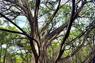 Tbd Tracts 10 & 22 Goat Hill Rd, Lakehills, TX 78063 - Photo 1