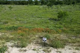 Lot 32 Serenity Dr, Bertram, TX 78605 - Photo 5