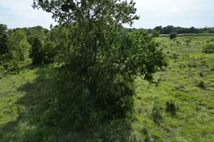 Lot 32 Serenity Dr, Bertram, TX 78605 - Photo 7