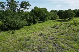 Lot 32 Serenity Dr, Bertram, TX 78605 - Photo 9