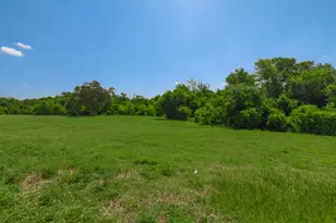 2008 Cyclone Ridge Cove, Round Rock, TX 78665 - Photo 35