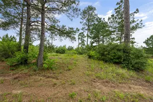 493 Cottletown Rd, Smithville, TX 78957 - Photo 37