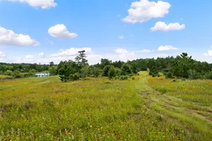 493 Cottletown Rd, Smithville, TX 78957 - Photo 35