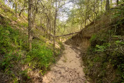 760 Dowdy Road, Seguin, TX 78155 - Photo 13