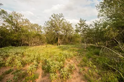 760 Dowdy Road, Seguin, TX 78155 - Photo 7