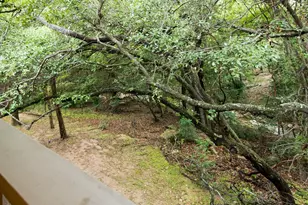 3839 Dry Creek Dr, Austin, TX 78731 - Photo 23