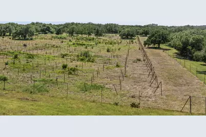 1306 Hidden Springs Drive, Salado, TX 76571 - Photo 29