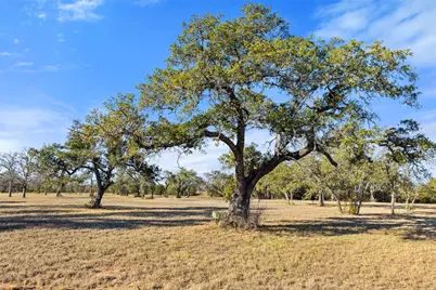 167 Mr Charlie Lane, Round Mountain, TX 78663 - Photo 3