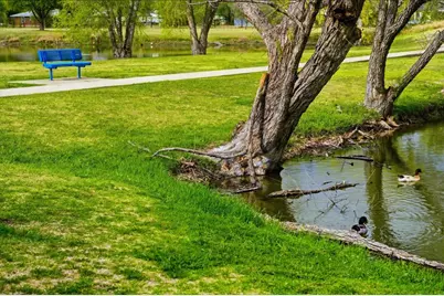 137 Crescent Drive, Buda, TX 78610 - Photo 35