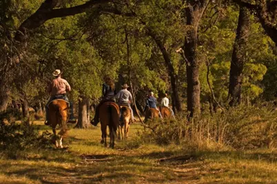 353 Agarita Way, Johnson City, TX 78636 - Photo 39