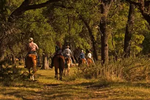 353 Agarita Wy, Johnson City, TX 78636 - Photo 39