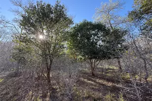 0 Country Club Dr, Seguin, TX 78155 - Photo 1