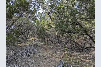Tbd Abilene Street, Wimberley, TX 78676 - Photo 3