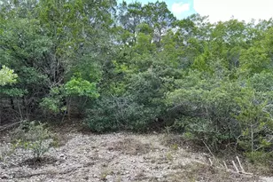 0000 County Road 330, Bertram, TX 78605 - Photo 17